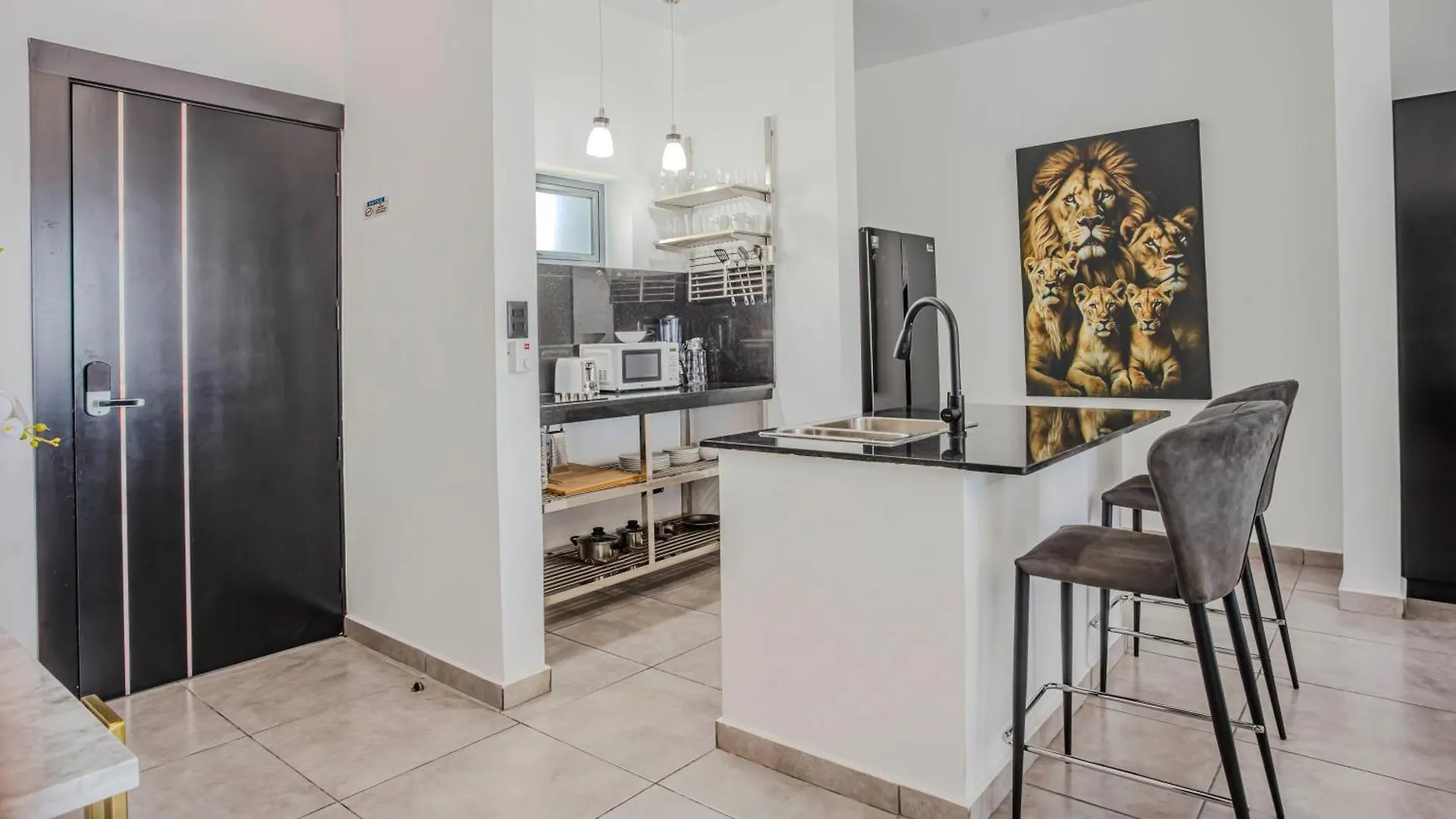 Instyle Residences At Rizz Suites Sosúa 0*,