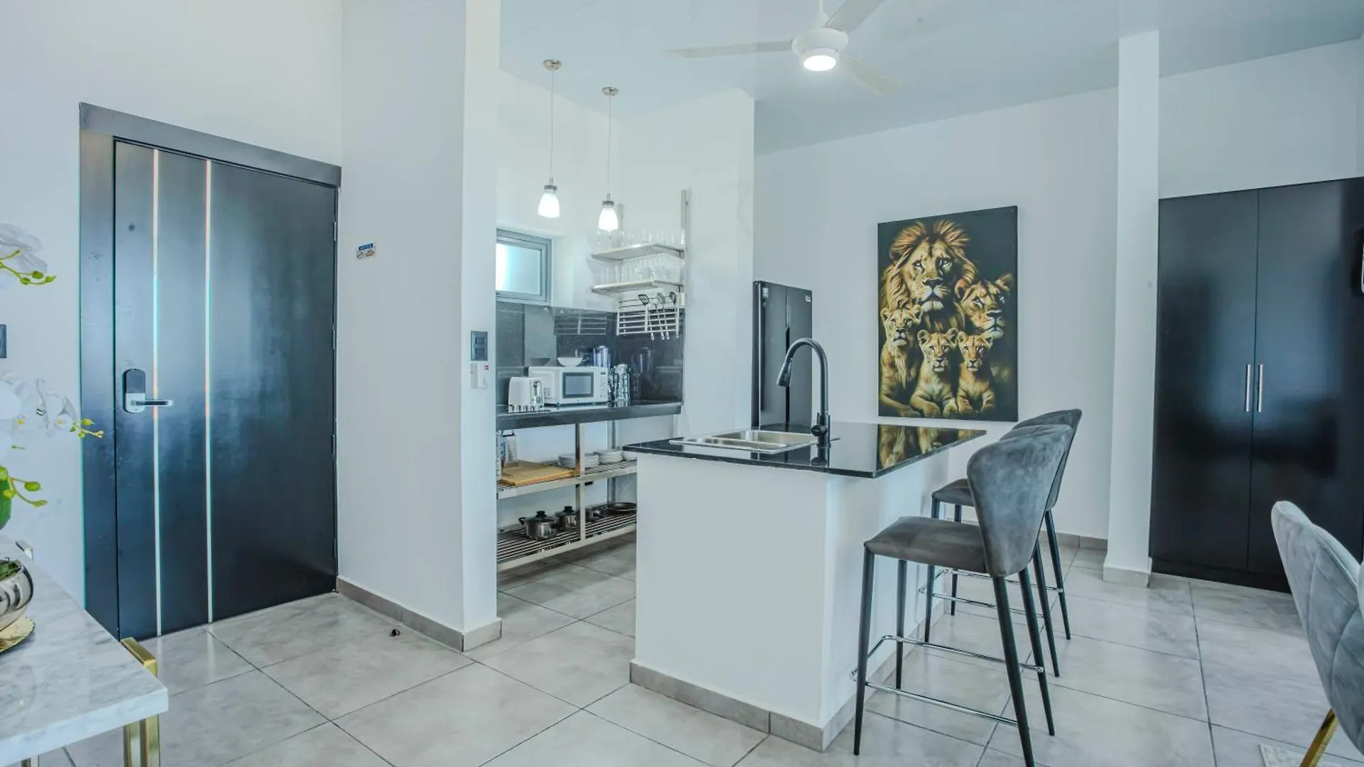 Hotel Instyle Residences At Rizz Suites Sosua
